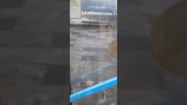 Поездка на автобусе НЕФАЗ 5299-40-52 до станции метро „Тропарёво” смотреть онлайн