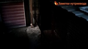 СКОЛЬКО НУЖНО КЛЕТОК ДЛЯ НУТРИЙ.  Видео для начинающих заводчиков.