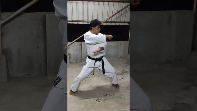 Kata Tekki Shodan.