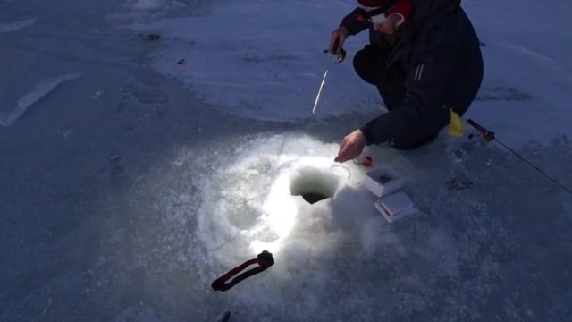Вечерняя и ночная рыбалка на Аляске.Ice fishing. Alaska. смотреть онлайн