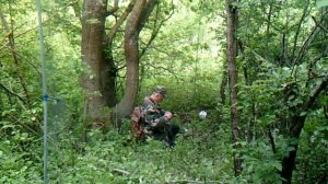 Ловля Славки Черноголовки #2