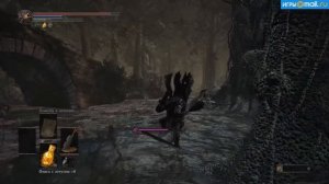 Оружие в Dark Souls 3 - Двуручный меч