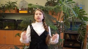 "Моя душа летит приветом" (А.К. Толстой). Читает Юлия Петухова