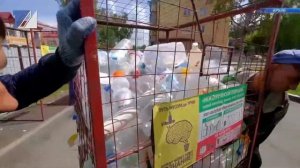 Контейнеры для сбора пластика исчезают с площадок. В чём причина?