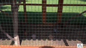 Рыбалка в Янган-Тау! Как провести выходные в Янган-Тау?