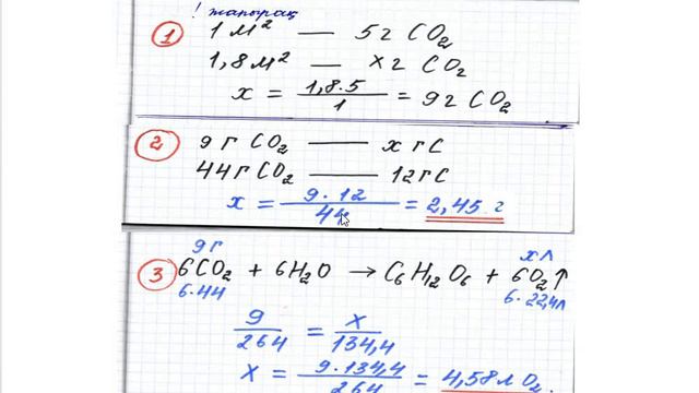 Өсімдік күн энергиясының қатысуымен 1м2 жапырақ бетіне