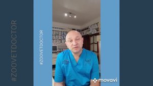 Почему щенки котята рождается с закрытыми глазами когда у котят щенков открываются глаза ветклиника