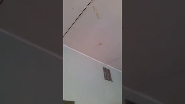 Грязь и ужас Боткинской больницы. В 21 век Россиян