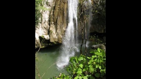 Техника концентрации внимания