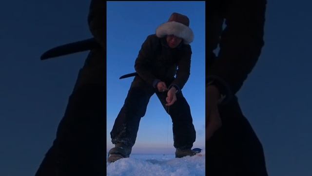 жерлицы на щуку #якутия #клевая #рыбалка #эхолот #клеваярыбалка