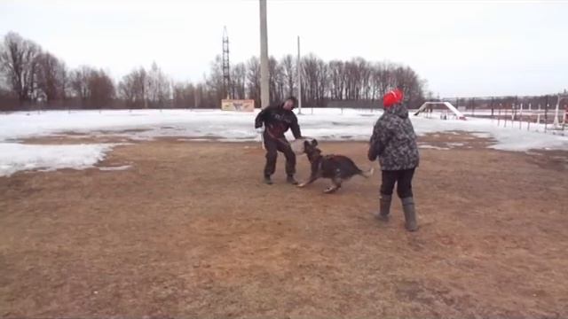 Дарьянур, защита смотреть онлайн