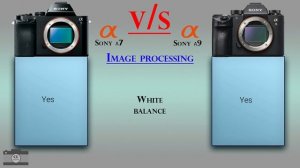 Sony α7 vs Sony α9