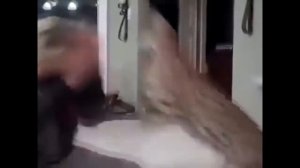 НАПАДЕНИЕ КОШЕК НА ЛЮДЕЙ (1).mp4