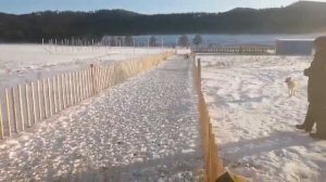 Катумская порода овец в Республике Бурятия (первая зимовка)