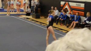 Ellie's Floor Routine at Park Rapids Sections Meet 2013