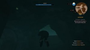 Ведьмак 3 - Интересности - Скрытый