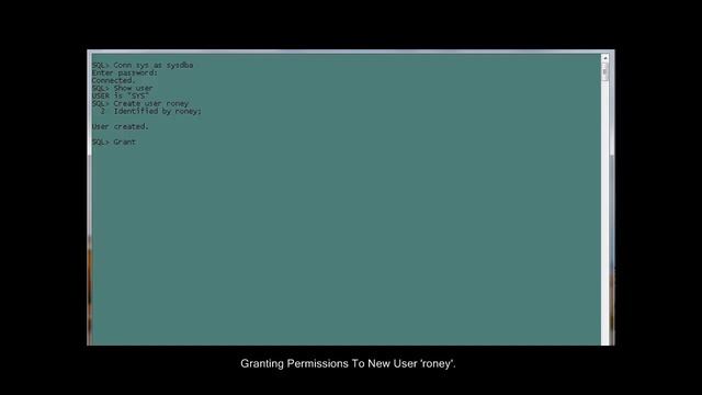 Schema Creation   OracleDB