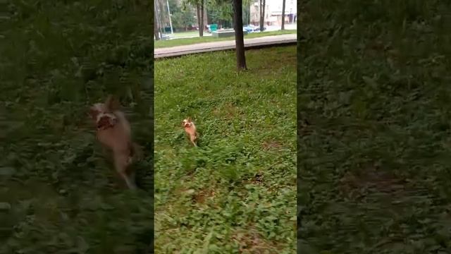 Сене тоже нужна разминка. смотреть онлайн