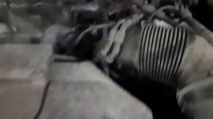 Жесть на СТО. Крысы под капотом.