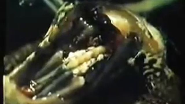 Спинной мозг смотреть онлайн