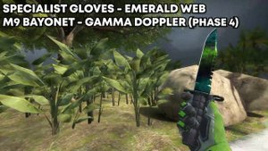 Wyld shows Best GREEN Glove & Knife combo on CS:GO!