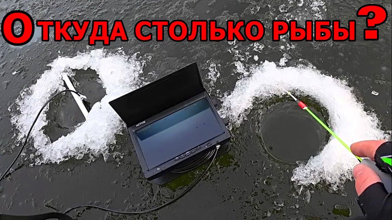 Зимняя Рыбалка по ПЕРВОМУ ЛЬДУ 2023-24 в декабре! ЖАДНЫЕ АТАКИ ОКУНЯ, которые попали на камеру!