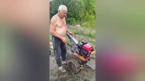 21.08 22г. копаем картофель мотоблоком