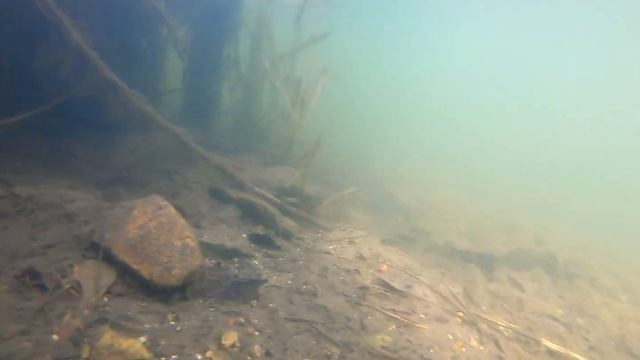 Walking the Chesterfield Canal Worksop to Retford Part 1 смотреть онлайн