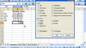 Excel 2003 Tutorial Using Paste Special Microsoft Training Lesson 16.1