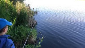 Рыбалка на поплавок и фидер.