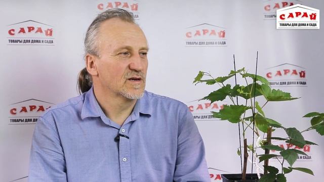 Борьба с болезнями и вредителями на винограде смотреть онлайн