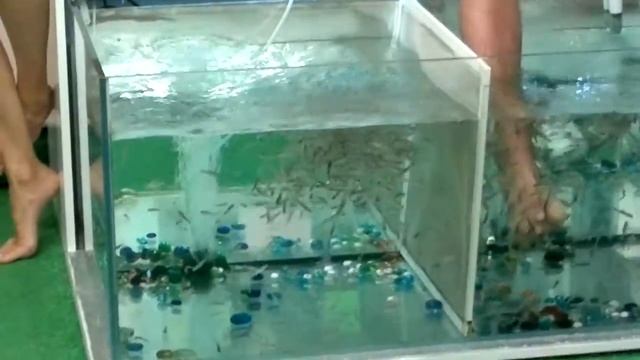 пилинг рыбками для рук смотреть онлайн