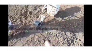 Лучшая ручная сеялка для овощей. Как купить сеялку - в описании.