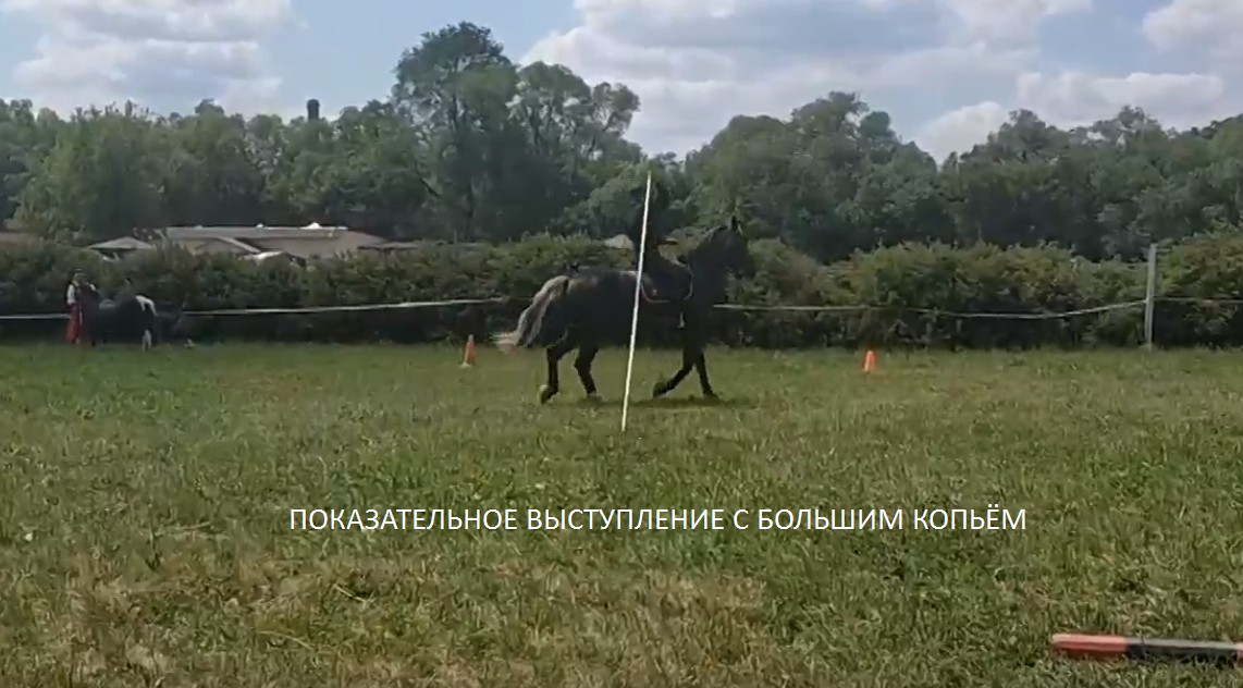 Рабочая езда (Working Equitation). Мастерство работы с длинным копьём.