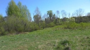 Заброшенные земли  Где всегда находки