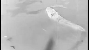 Рыбалка 1960 год Аральская море