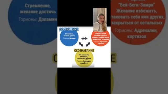 СТРЕСС !!!! смотреть онлайн