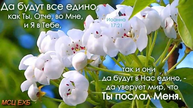 "Исполнять волю Божью". А. И. Бублик. Проповедь. МСЦ ЕХБ.
