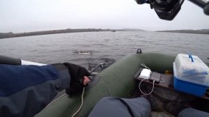 Ловля ЩУКИ поздней осенью!