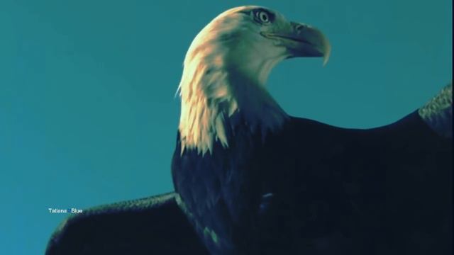 The Flight Of Life - Costel Enache (Amazing Pan Flute Music) смотреть онлайн