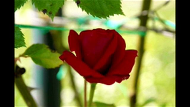04) Евангелия Ап. Иоанна 12062012
