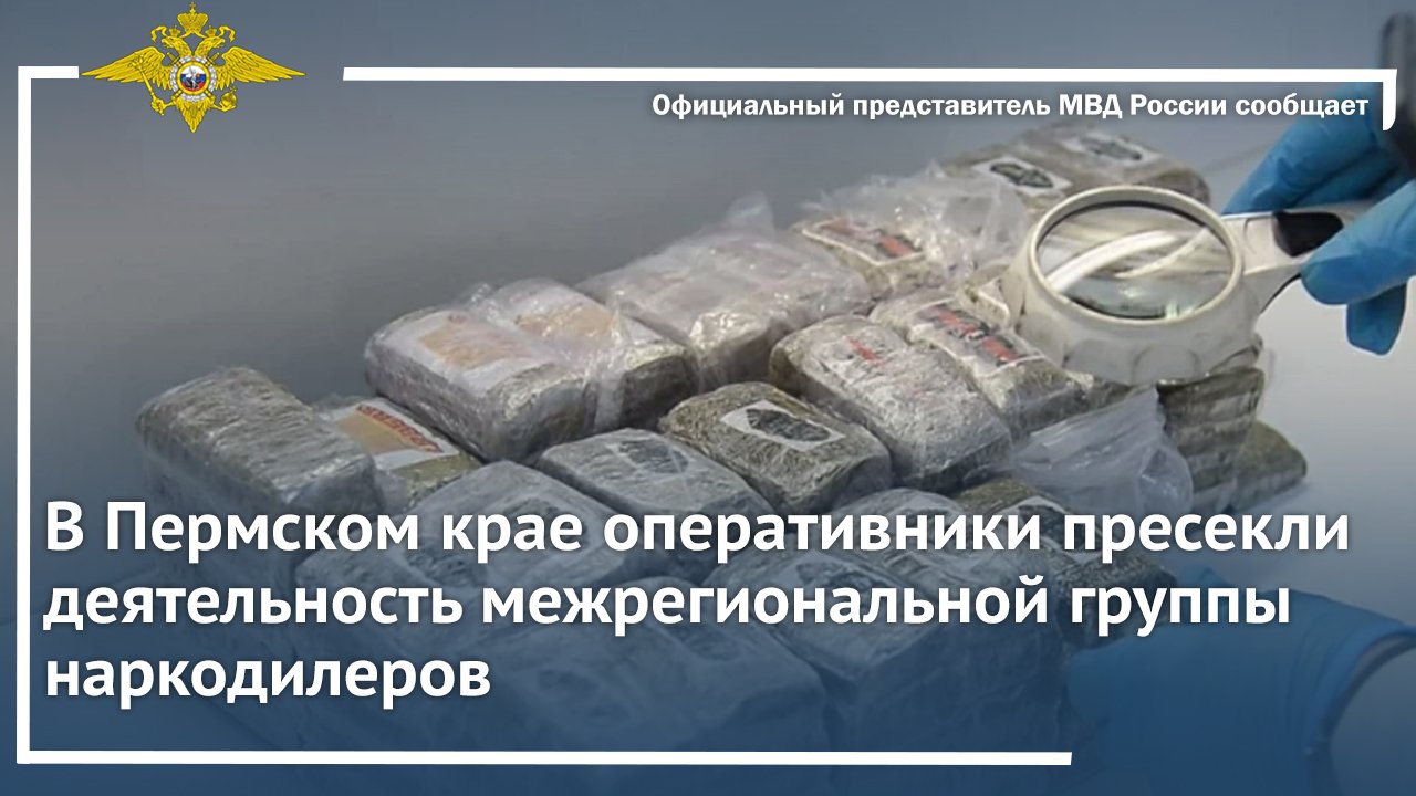 В Пермском крае оперативники пресекли деятельность межрегиональной группы наркодилеров