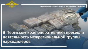 В Пермском крае оперативники пресекли деятельность межрегиональной группы наркодилеров