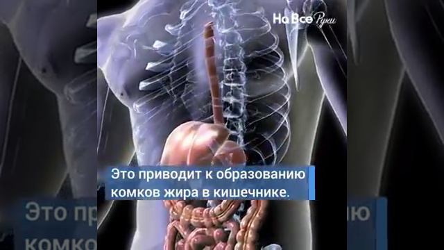 Тёплая вода полезна смотреть онлайн