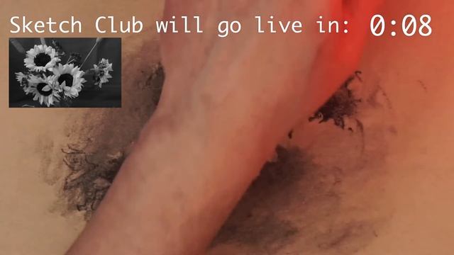 Sketch Club - Sunflowers смотреть онлайн