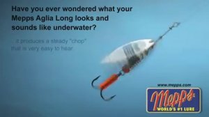 Вращение блесны Mepps Aglia Long КЛЁВ БУДЕТ