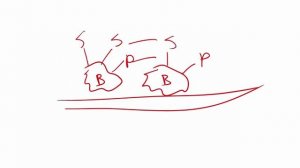 USMLE RX - 7.Микробиология - 2.Основы бактериологии - 15.Бактерии, Продуцирующие Биоплёнку In Vivo *