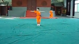 Shaolin Nanyuan XI