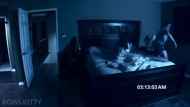 Purranormal Activity (with my cat OwlKitty) смотреть онлайн
