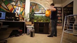 Внешний фильтр Cristal Profi JBL901. Распаковка. Установка. Запуск